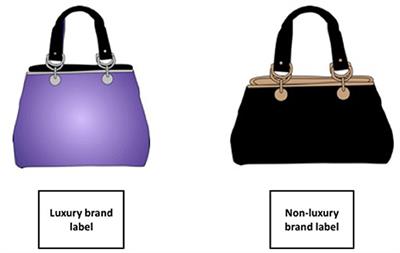More Than Meets the Eye: The Impact of Materialism on Information Selection During Luxury Choices